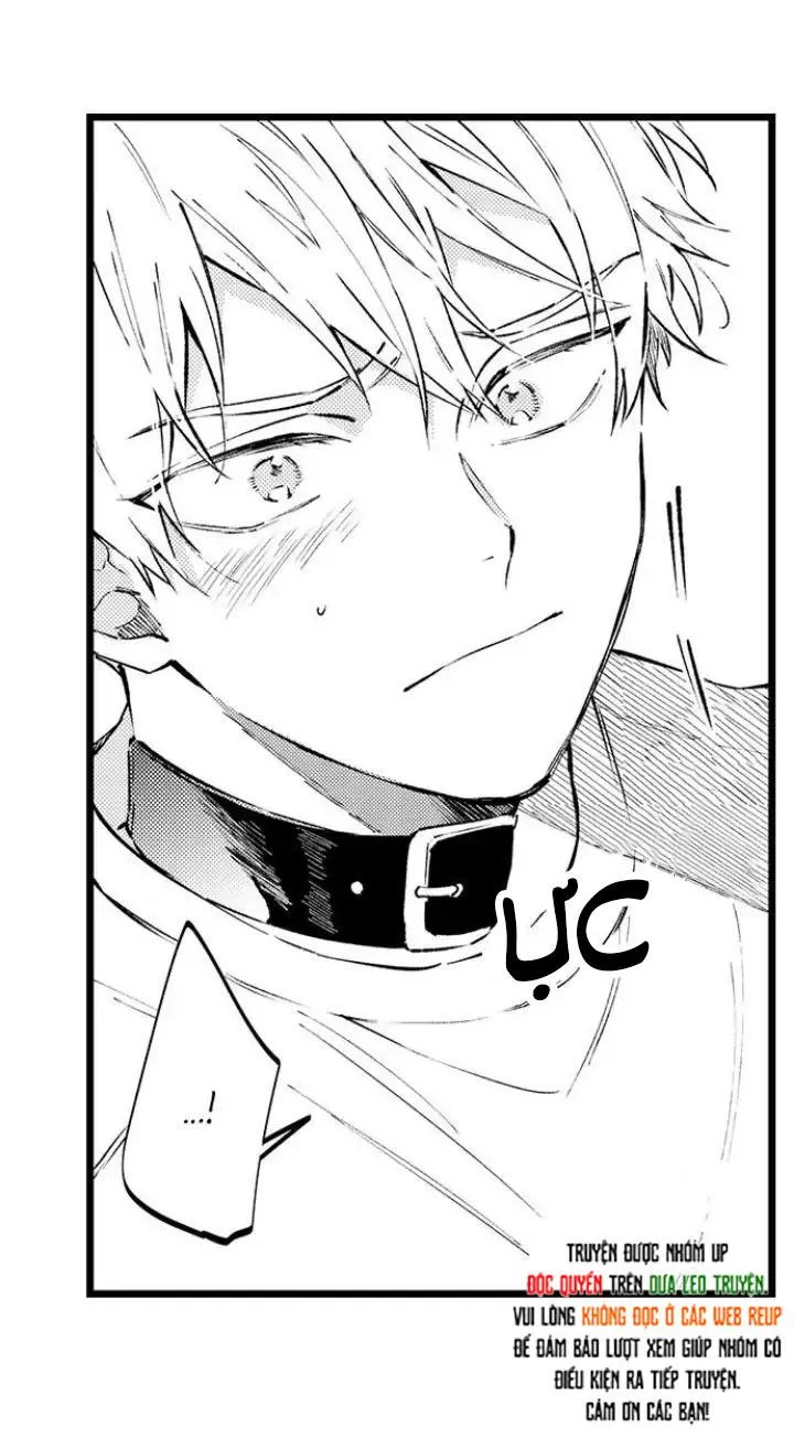 Ly Hôn Đi, Hỡi Ngài Alpha Chapter 9 Trang 11