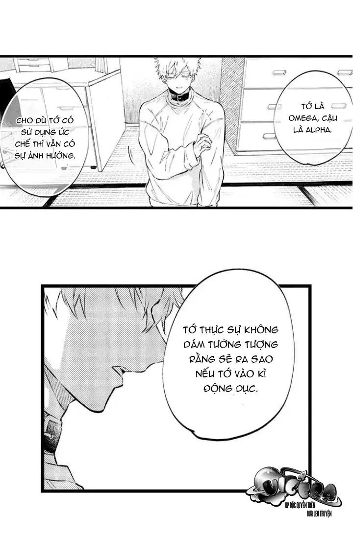 Ly Hôn Đi, Hỡi Ngài Alpha Chapter 9 Trang 13