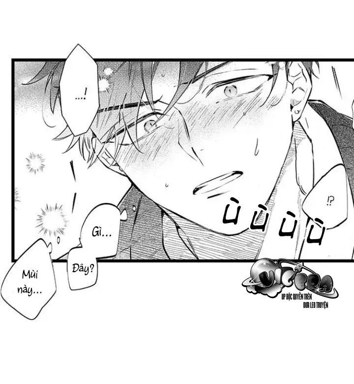 Ly Hôn Đi, Hỡi Ngài Alpha Chapter 10 Trang 13