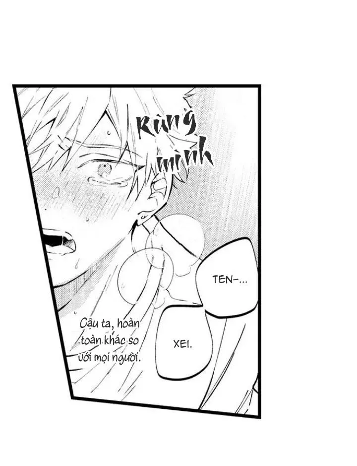 Ly Hôn Đi, Hỡi Ngài Alpha Chapter 10 Trang 15