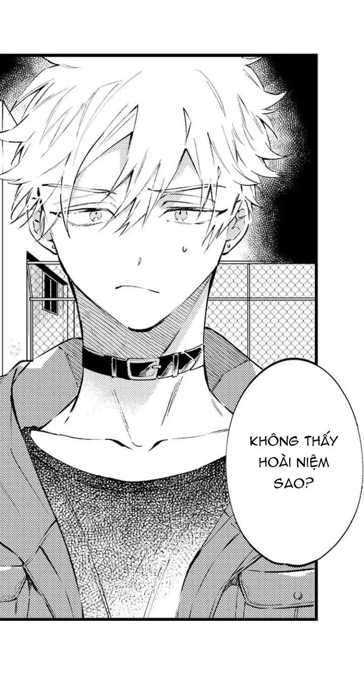 Ly Hôn Đi, Hỡi Ngài Alpha Chapter 11 Trang 3