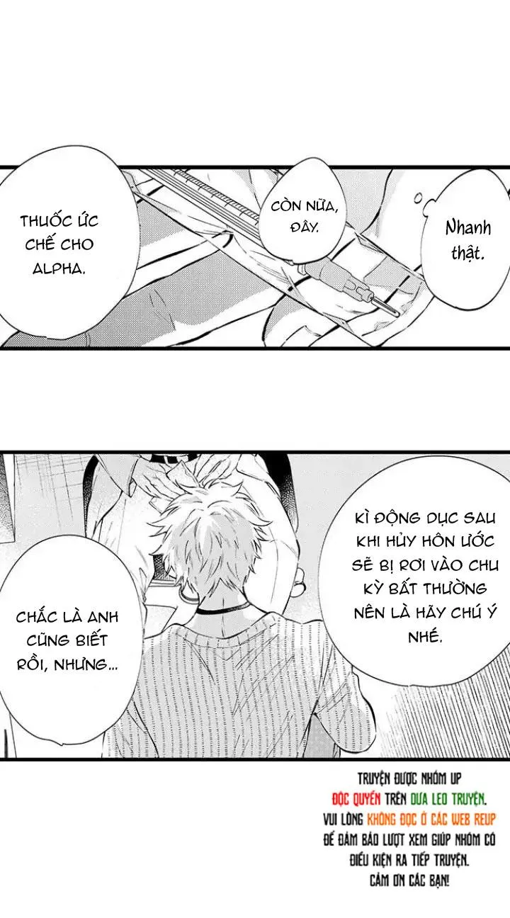 Ly Hôn Đi, Hỡi Ngài Alpha Chapter 11 Trang 26