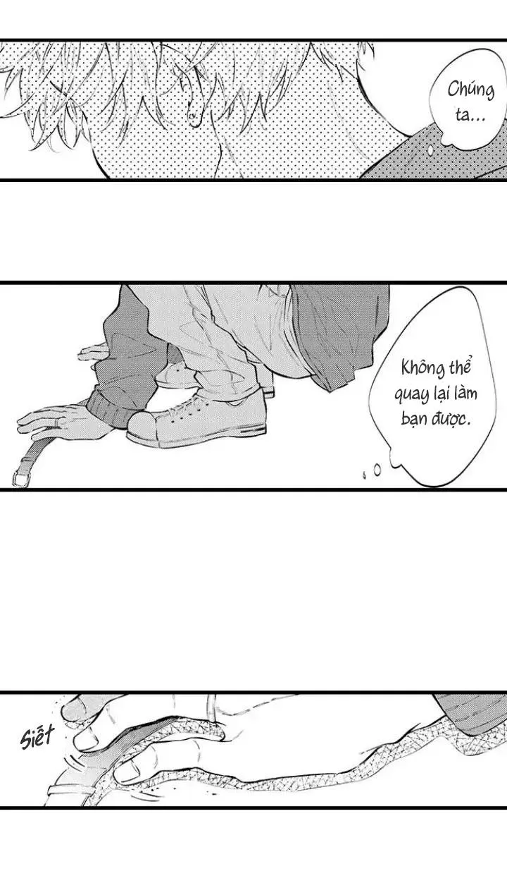 Ly Hôn Đi, Hỡi Ngài Alpha Chapter 12 Trang 17