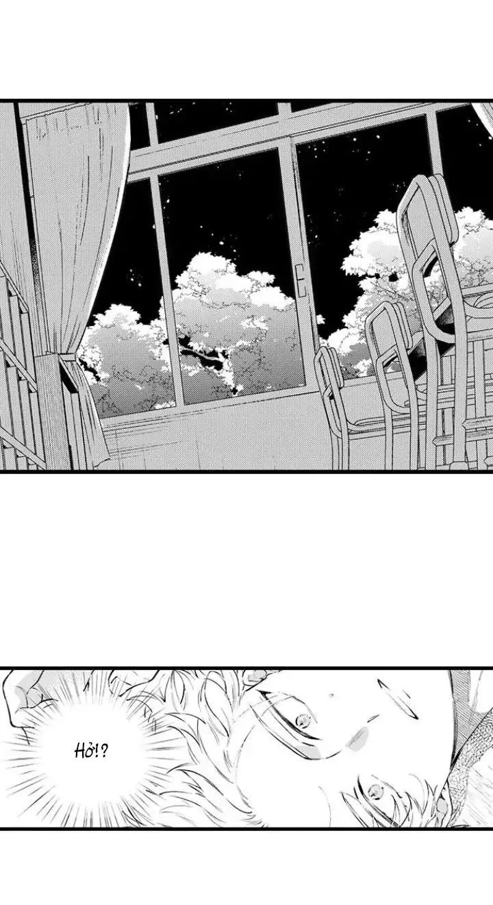 Ly Hôn Đi, Hỡi Ngài Alpha Chapter 12 Trang 24