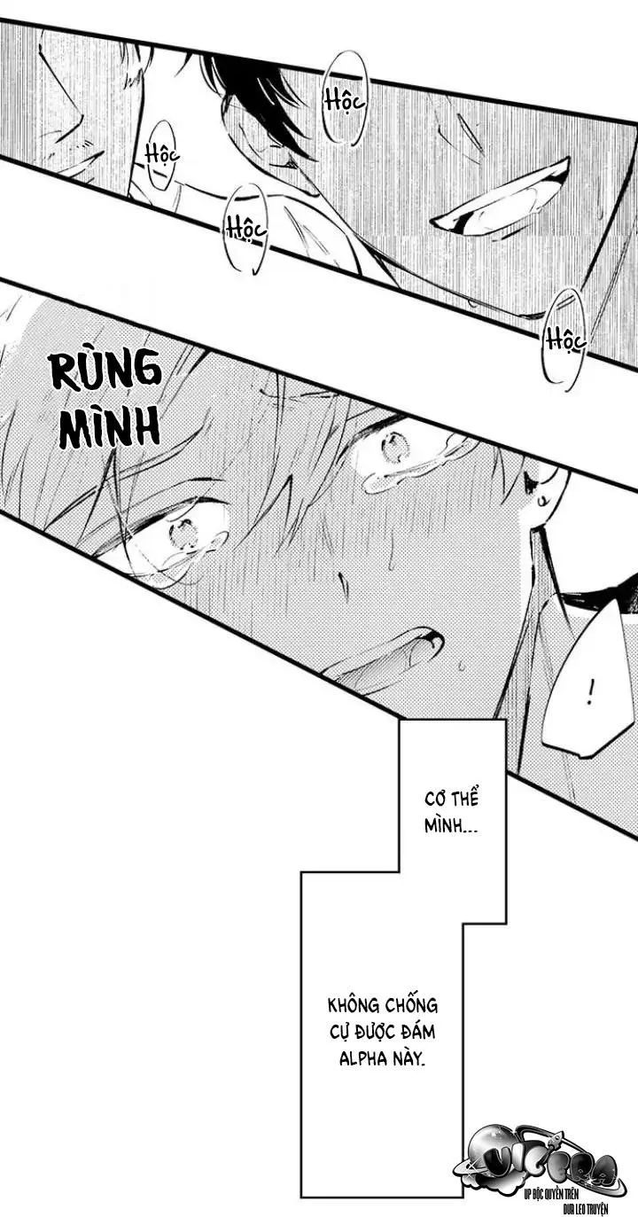 Ly Hôn Đi, Hỡi Ngài Alpha Chapter 13 Trang 26