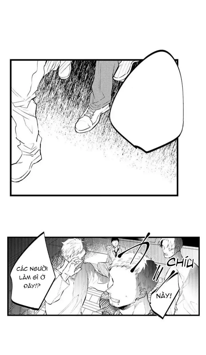 Ly Hôn Đi, Hỡi Ngài Alpha Chapter 14 Trang 5