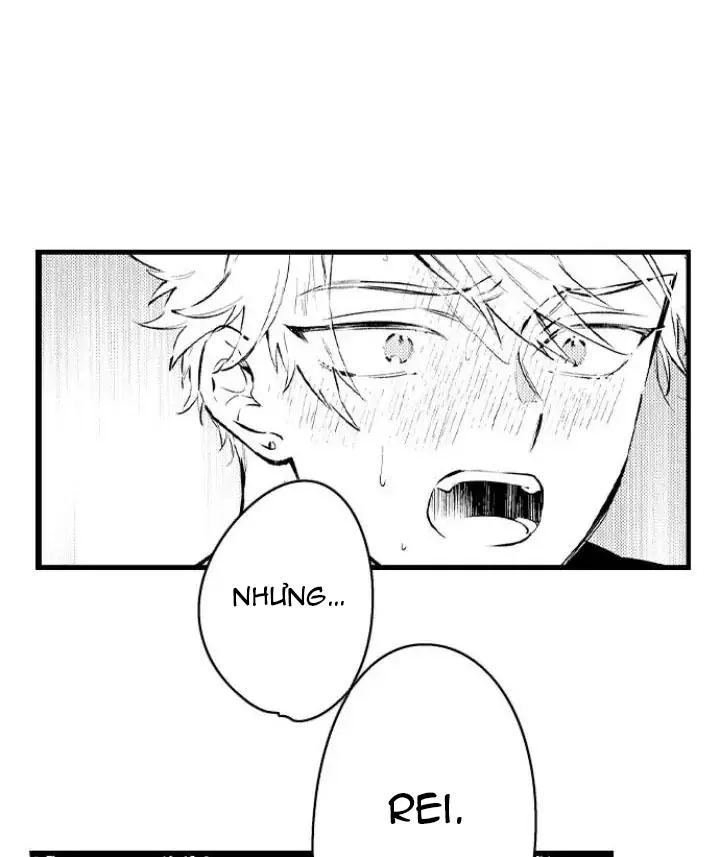 Ly Hôn Đi, Hỡi Ngài Alpha Chapter 14 Trang 9