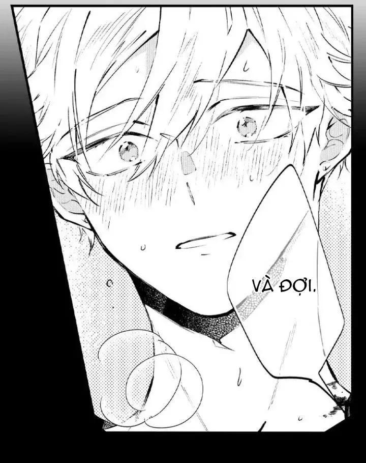 Ly Hôn Đi, Hỡi Ngài Alpha Chapter 14 Trang 12