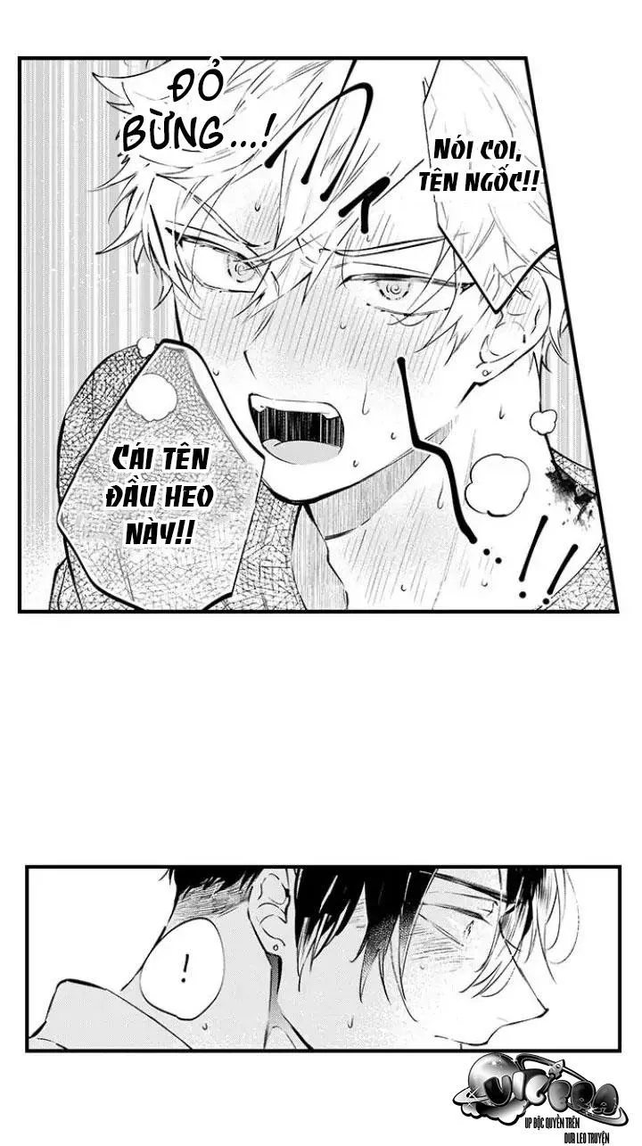 Ly Hôn Đi, Hỡi Ngài Alpha Chapter 15 Trang 13