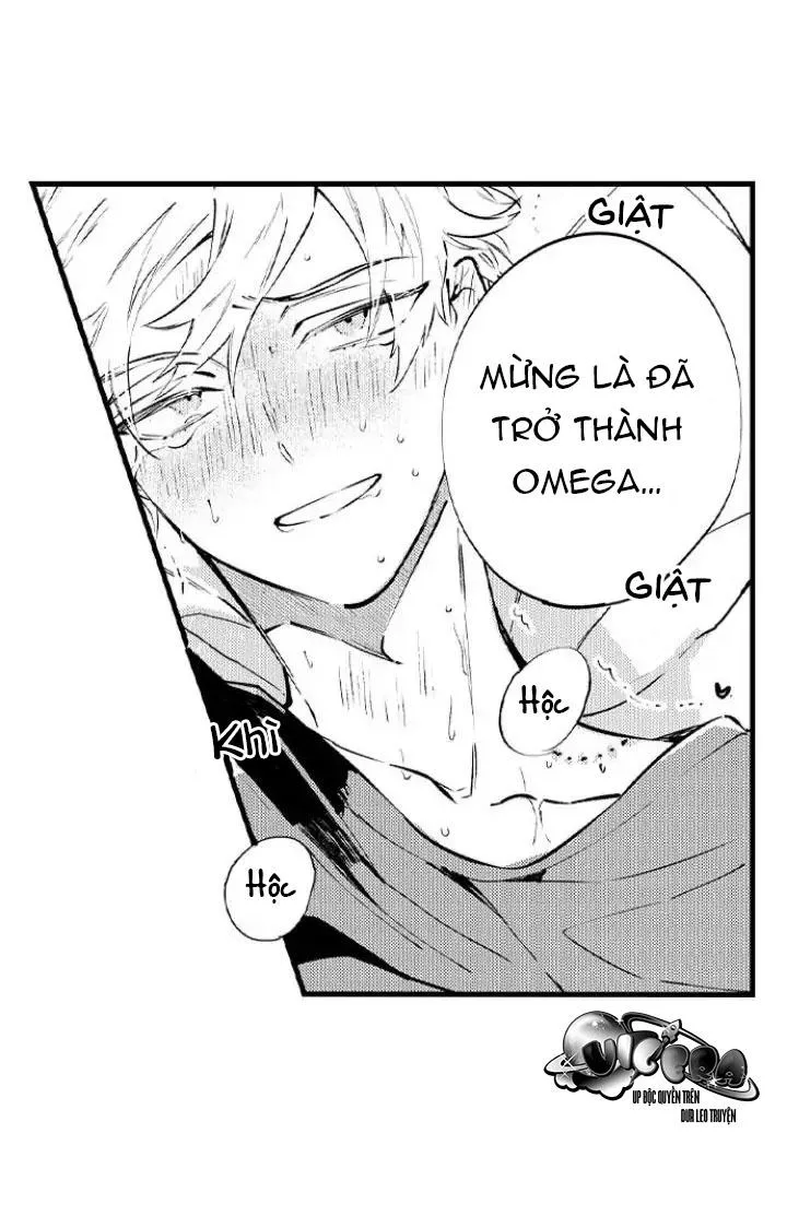 Ly Hôn Đi, Hỡi Ngài Alpha Chapter 16 Trang 10