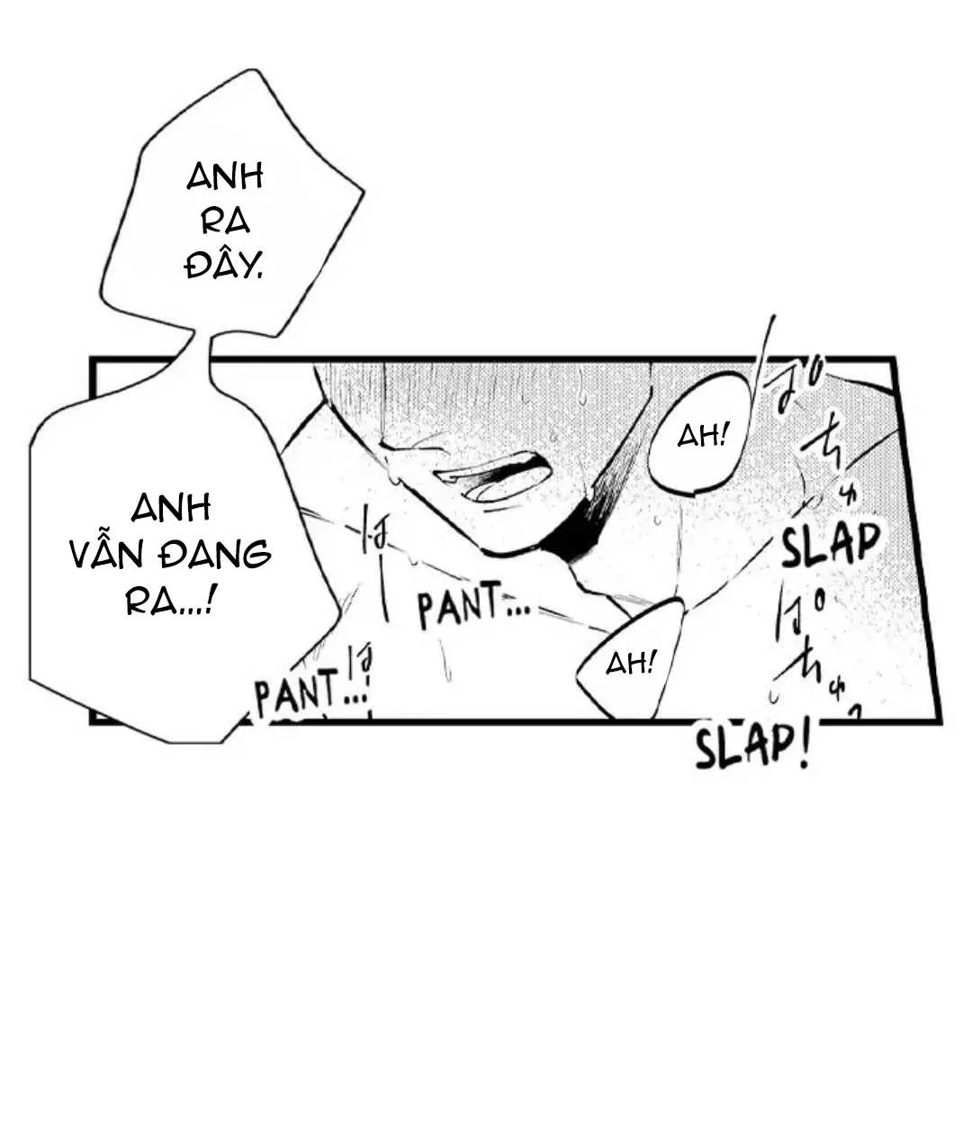 Ly Hôn Đi, Hỡi Ngài Alpha Chapter 19 Trang 5