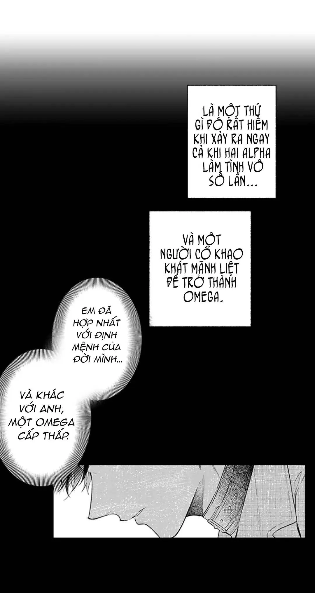 Ly Hôn Đi, Hỡi Ngài Alpha Chapter 24 Trang 20