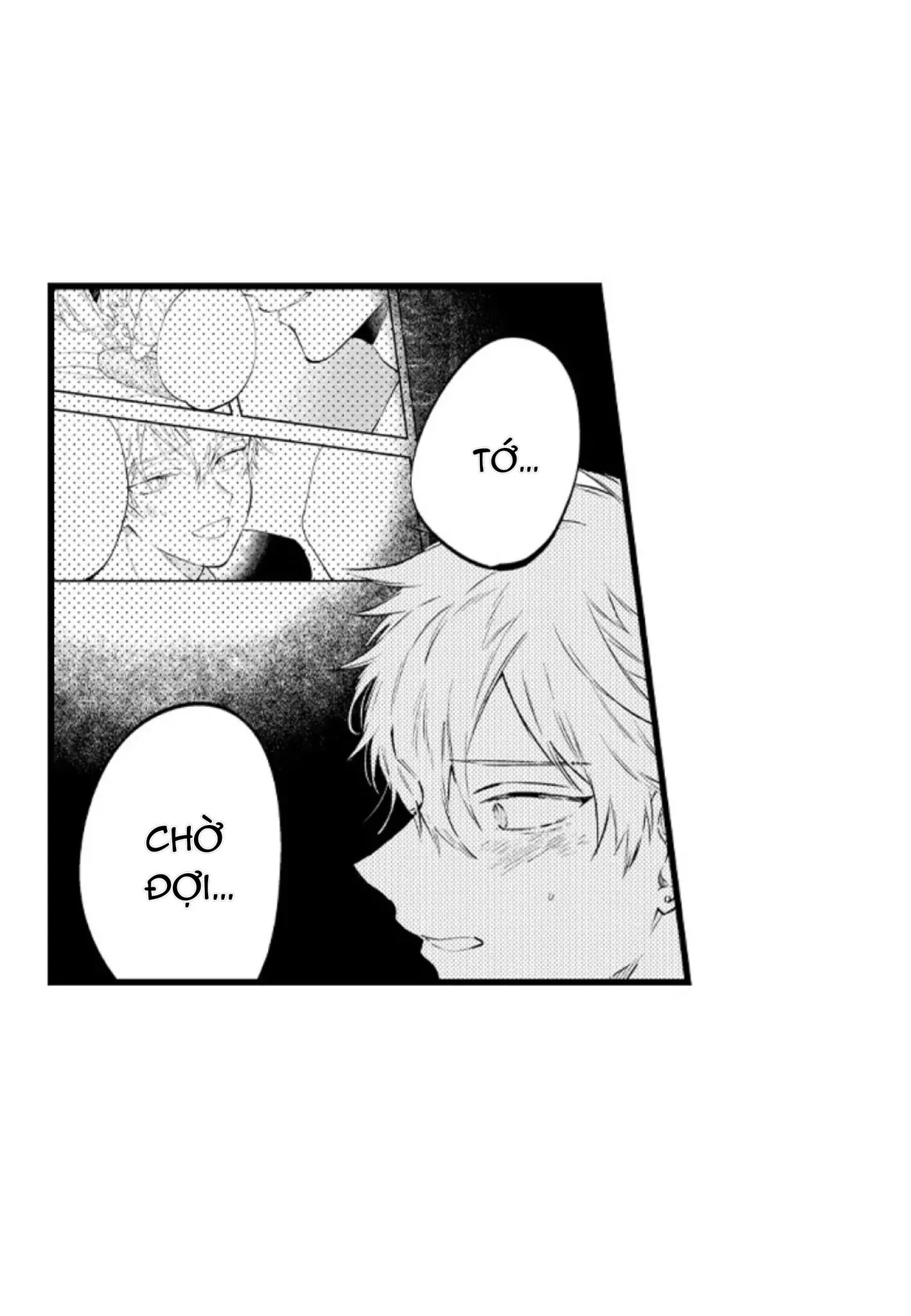 Ly Hôn Đi, Hỡi Ngài Alpha Chapter 29 Trang 12