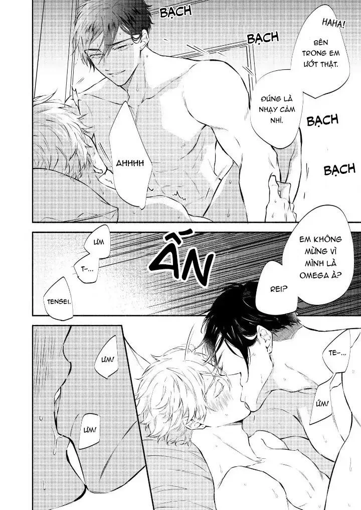 Ly Hôn Đi, Hỡi Ngài Alpha Chapter 1 Trang 4