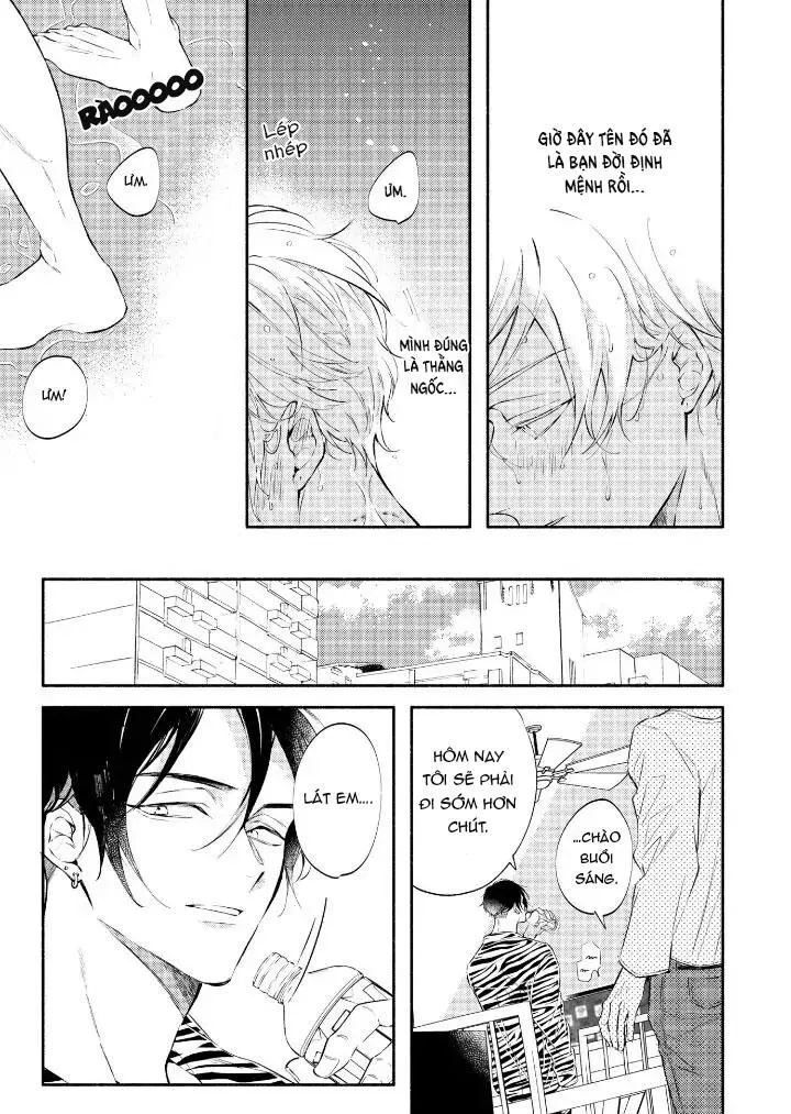 Ly Hôn Đi, Hỡi Ngài Alpha Chapter 1 Trang 7
