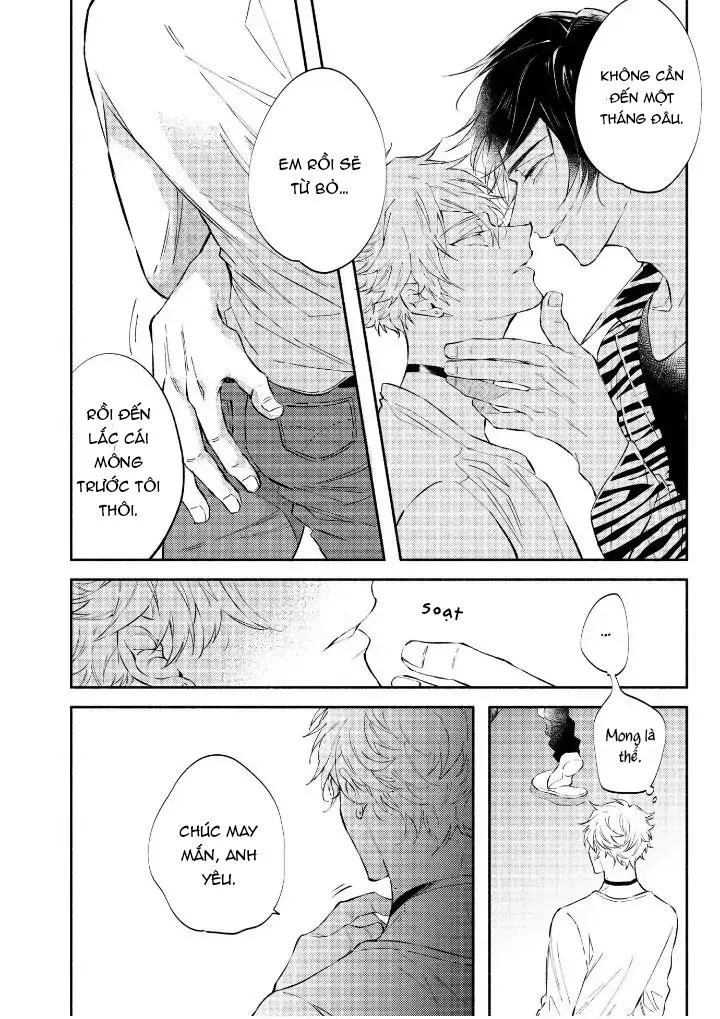 Ly Hôn Đi, Hỡi Ngài Alpha Chapter 1 Trang 14