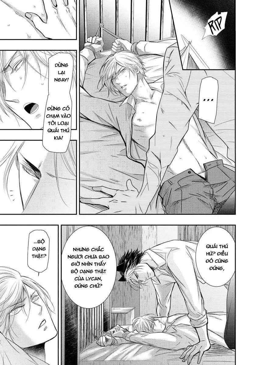 Lycan - Nô lệ cho Tử tước Sói Đen Chapter 1 Trang 28