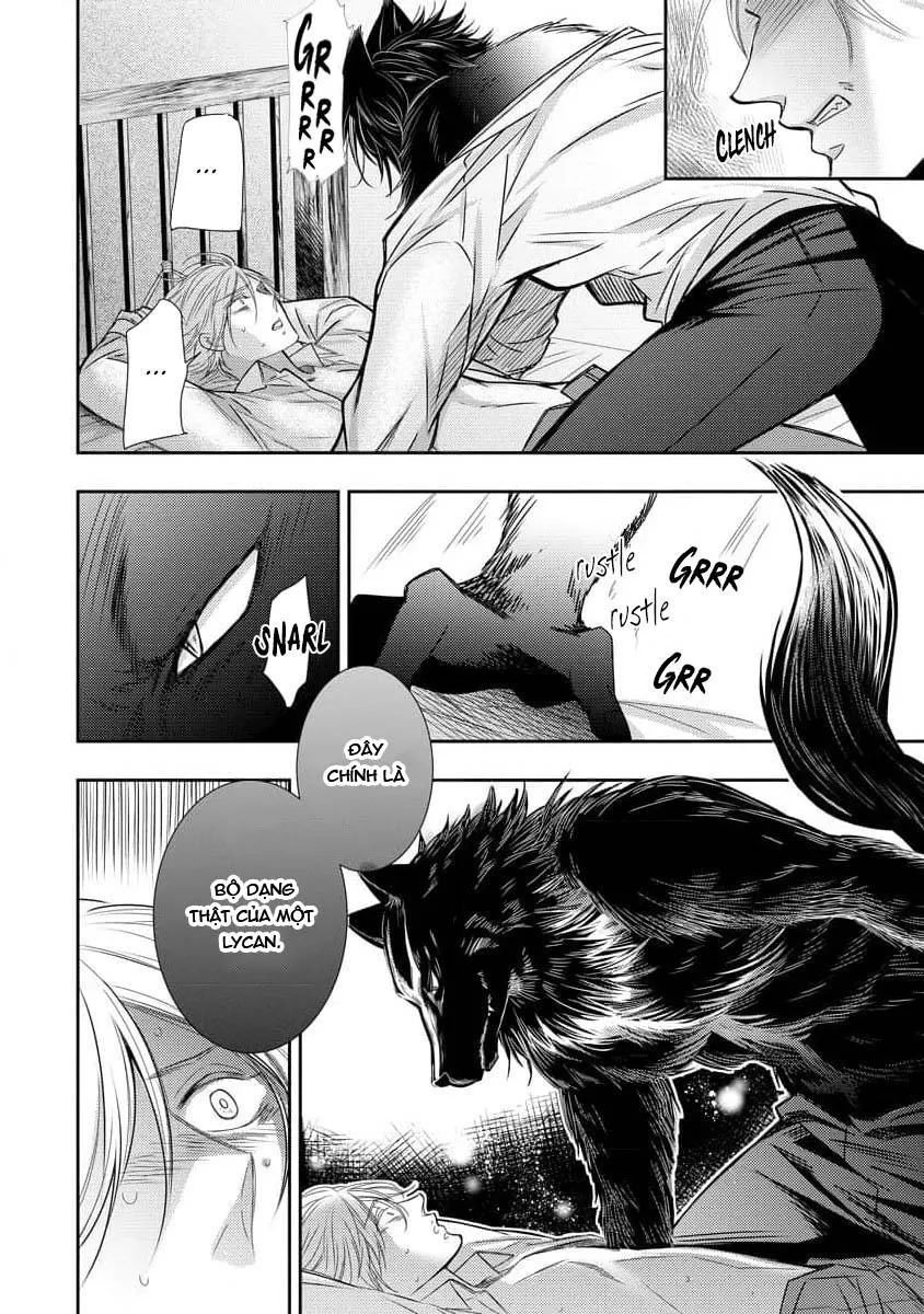 Lycan - Nô lệ cho Tử tước Sói Đen Chapter 1 Trang 29