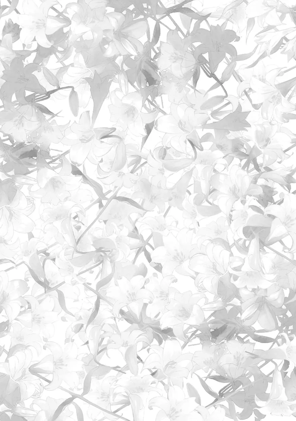 Ma Cà Rồng Mộng Mơ HOÀN Chapter 4 Trang 26