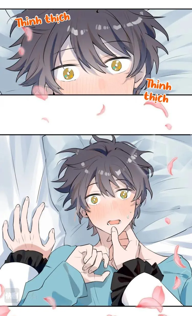 Ma vương đại nhân luôn trêu chọc tôi Chapter 1 Trang 4