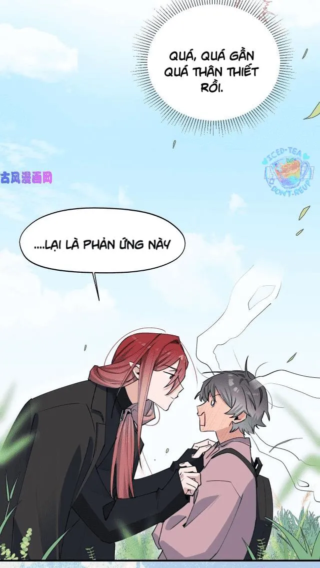 Ma vương đại nhân luôn trêu chọc tôi Chapter 11 Trang 5