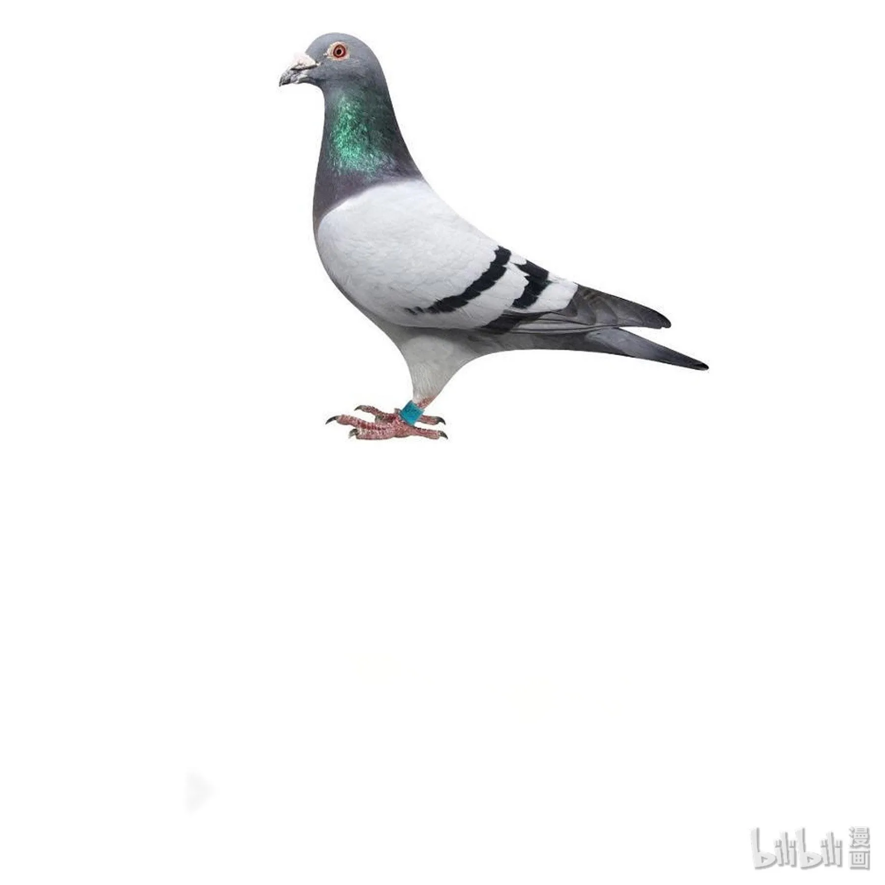 Ma vương muốn làm bạn với tôi Chapter 5 Trang 38