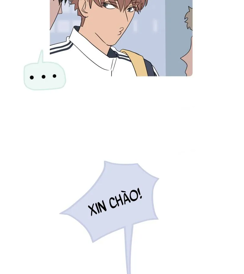 Mãi Mãi Là Bạn Thân Chapter 230 Trang 3