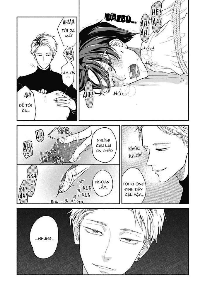 Mạng nhện Chapter 2 Trang 15