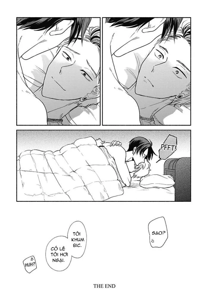 Mạng nhện Chapter 7 Trang 11