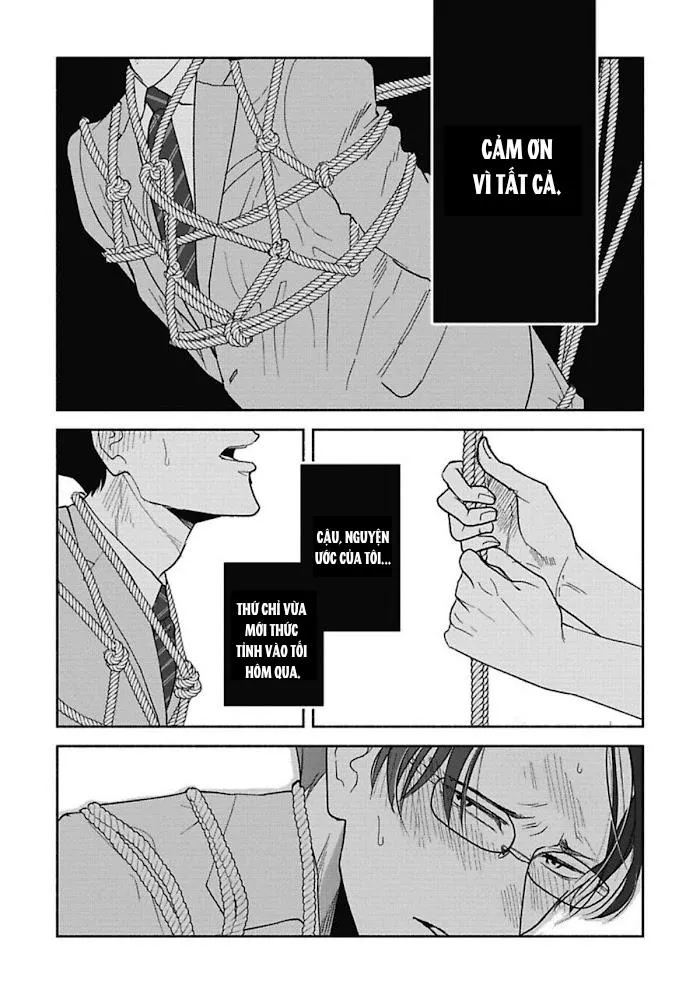 Mạng nhện Chapter 1 Trang 3