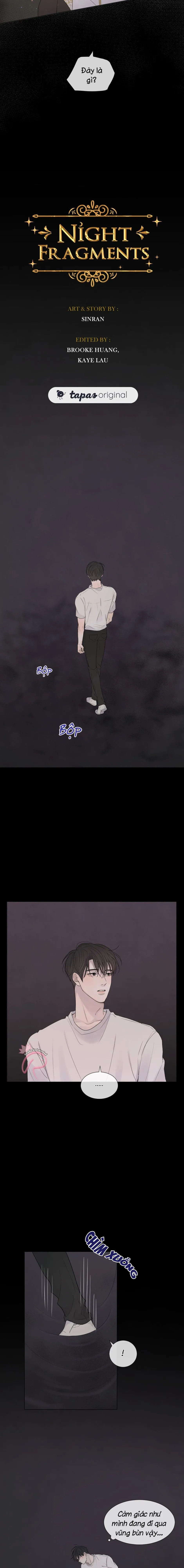MẢNH ĐÊM VỤN VỠ Chapter 5 Trang 4