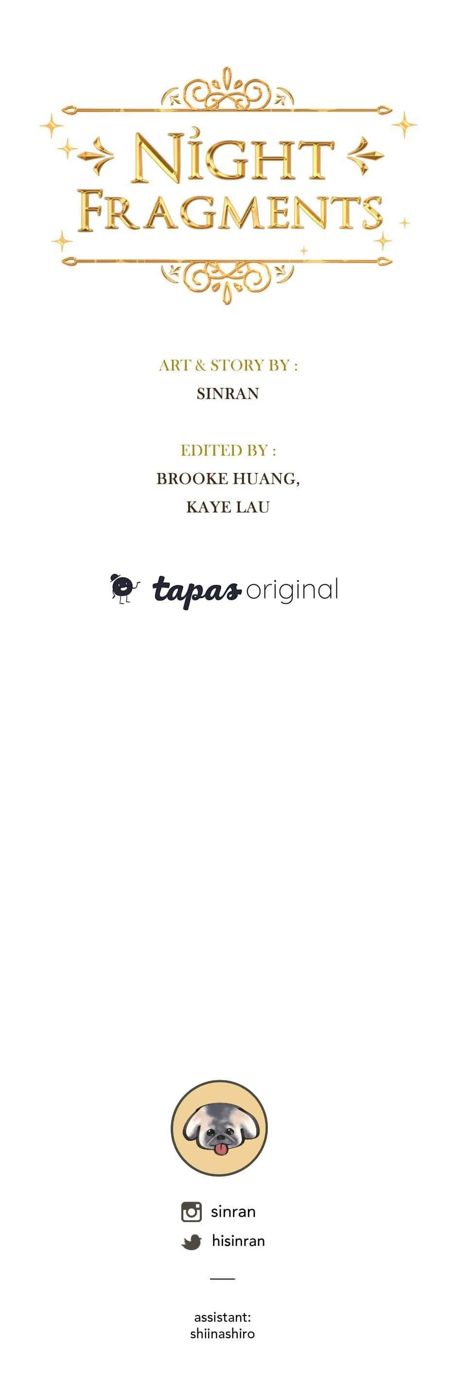 MẢNH ĐÊM VỤN VỠ Chapter 10 Trang 29