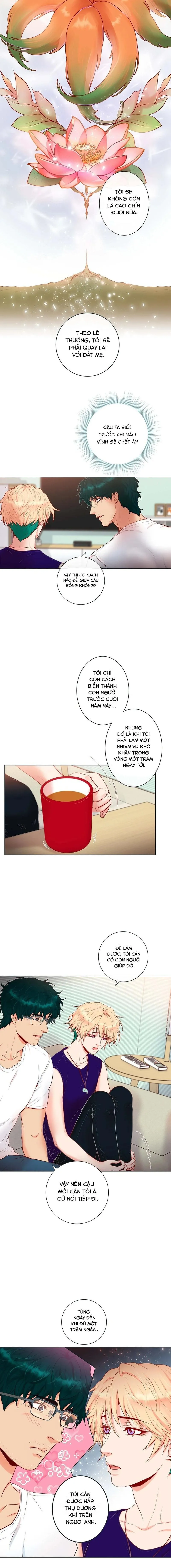 MÃNH HỔ VÂY QUANH Chapter 2 Trang 4