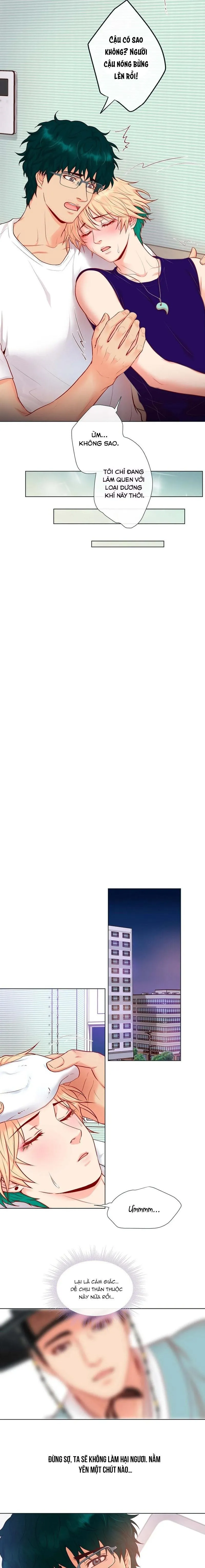 MÃNH HỔ VÂY QUANH Chapter 2 Trang 7