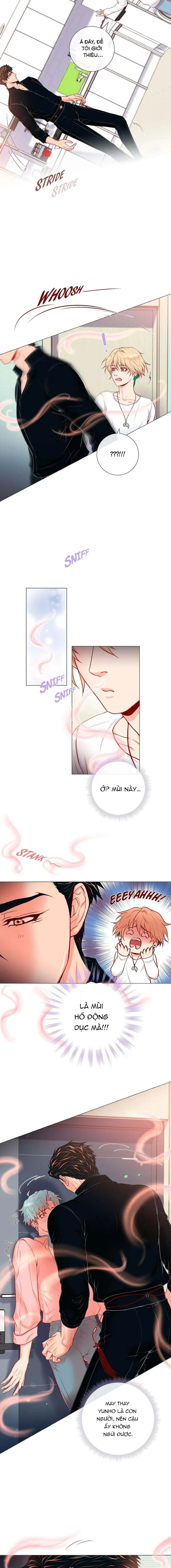 MÃNH HỔ VÂY QUANH Chapter 3 Trang 6