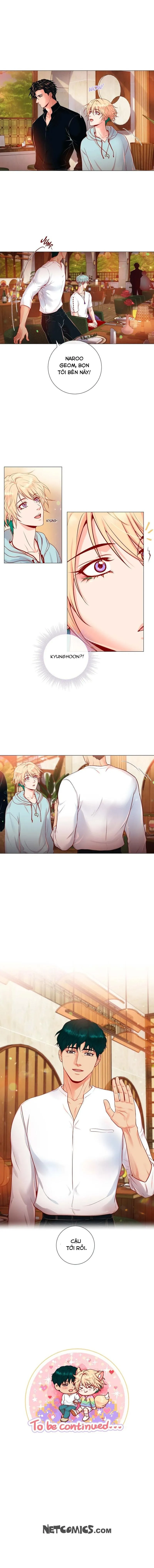 MÃNH HỔ VÂY QUANH Chapter 3 Trang 11