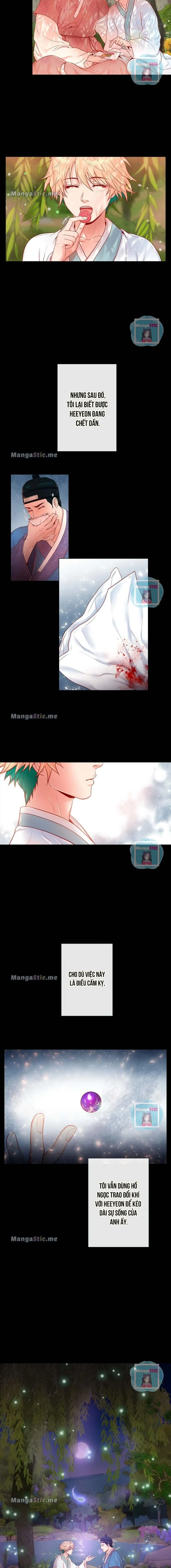 MÃNH HỔ VÂY QUANH Chapter 6 Trang 3