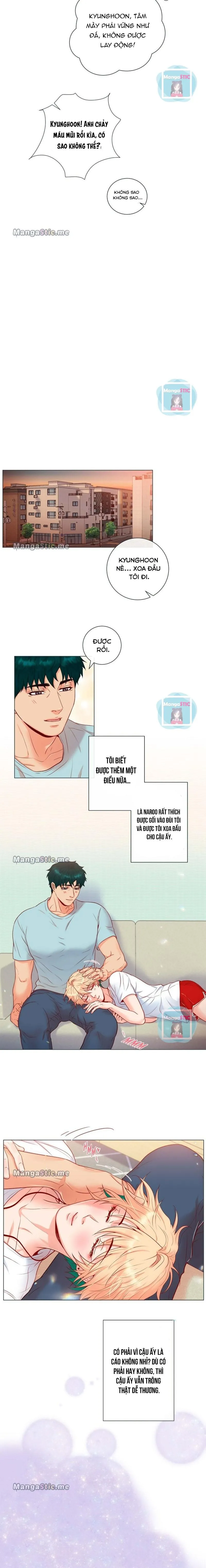 MÃNH HỔ VÂY QUANH Chapter 8 Trang 3