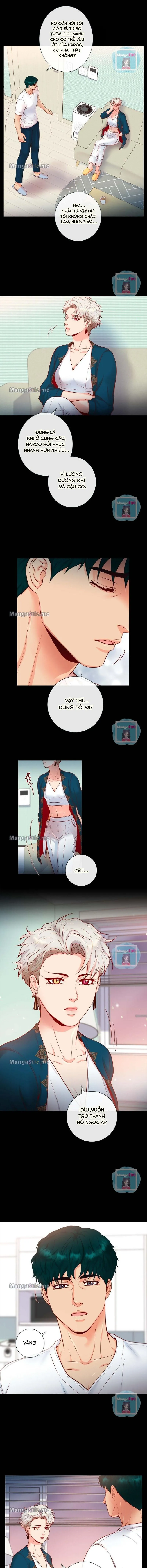 MÃNH HỔ VÂY QUANH Chapter 12 Trang 10