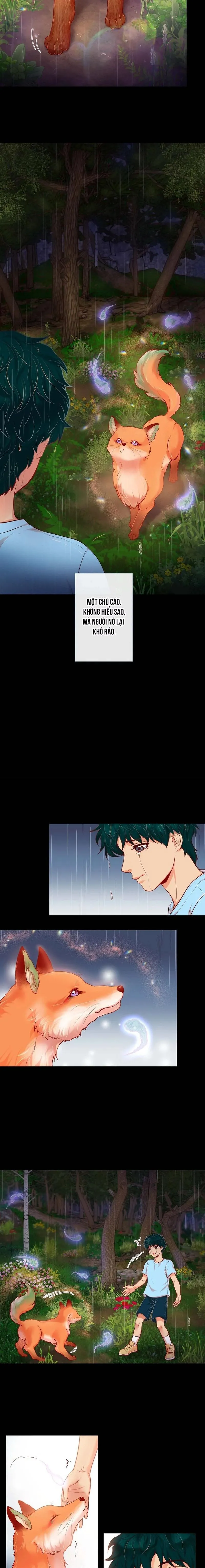 MÃNH HỔ VÂY QUANH Chapter 1 Trang 4