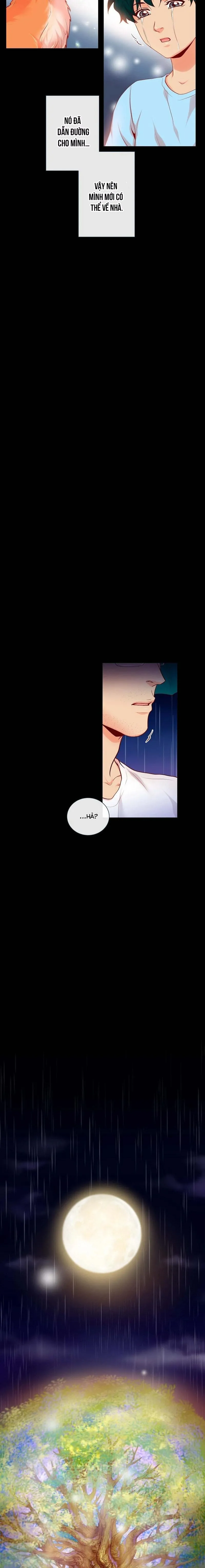 MÃNH HỔ VÂY QUANH Chapter 1 Trang 5