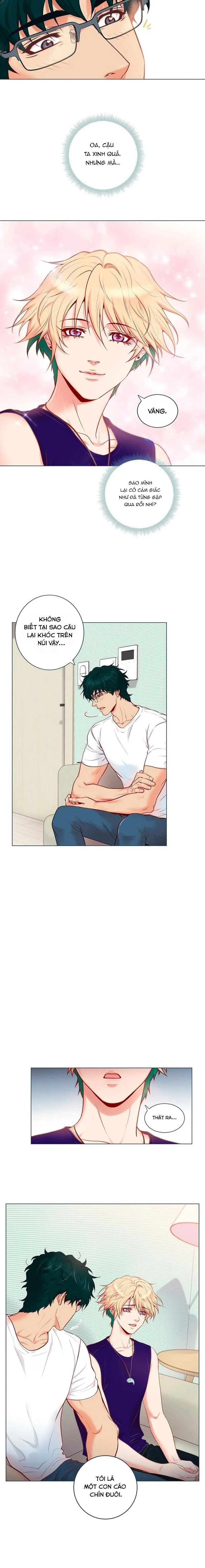 MÃNH HỔ VÂY QUANH Chapter 1 Trang 12