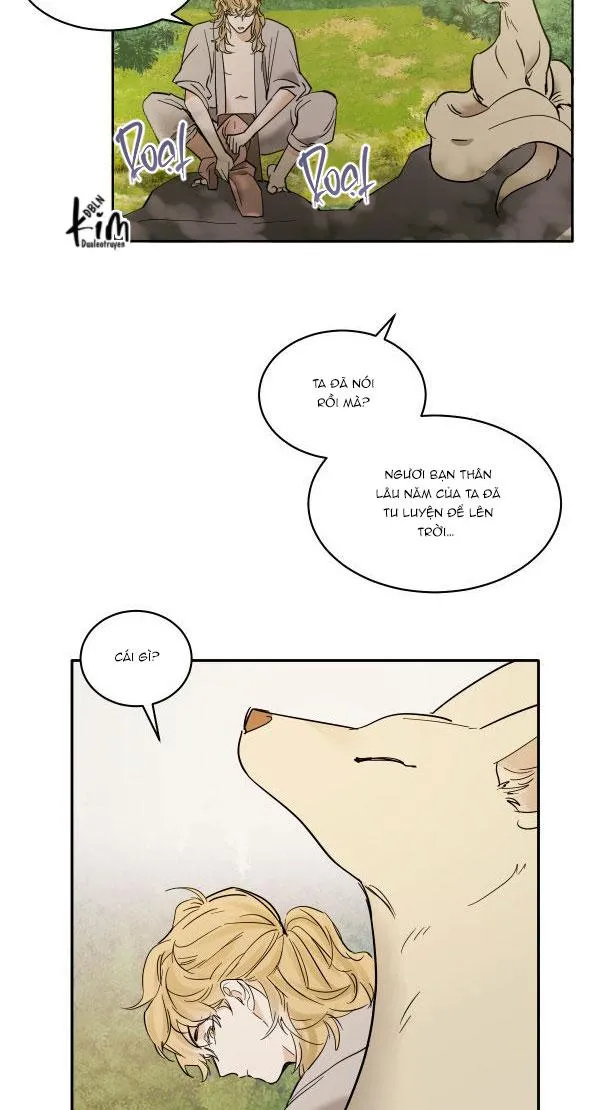 MÃNH THÚ BIẾN NHIỆT Chapter 95 Trang 11