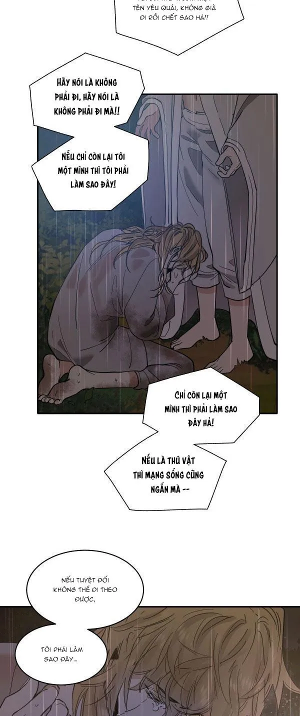MÃNH THÚ BIẾN NHIỆT Chapter 95 Trang 35
