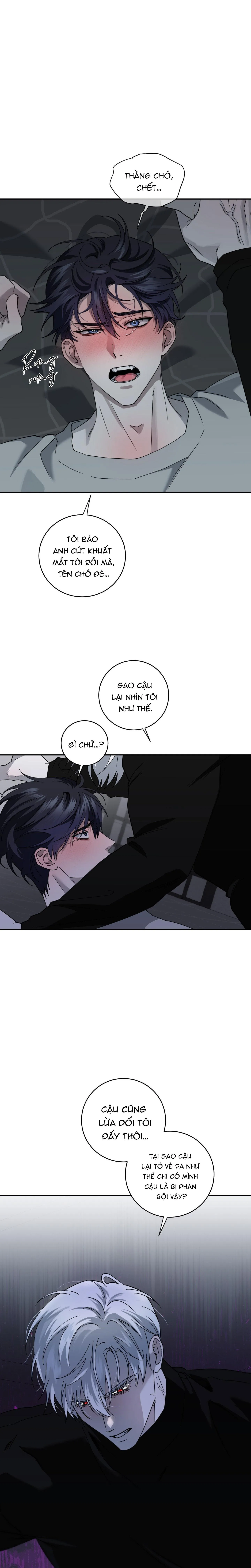 MẢNH VỠ CỦA ÁNH TRĂNG Chapter 14 Trang 12