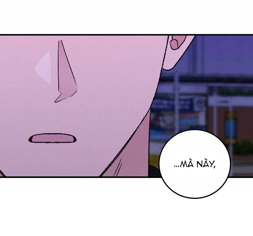 Mảnh vụn Chapter 8 Trang 21