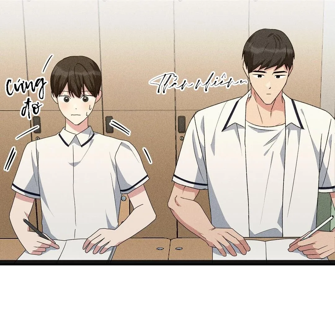 Mảnh vụn Chapter 8 Trang 58