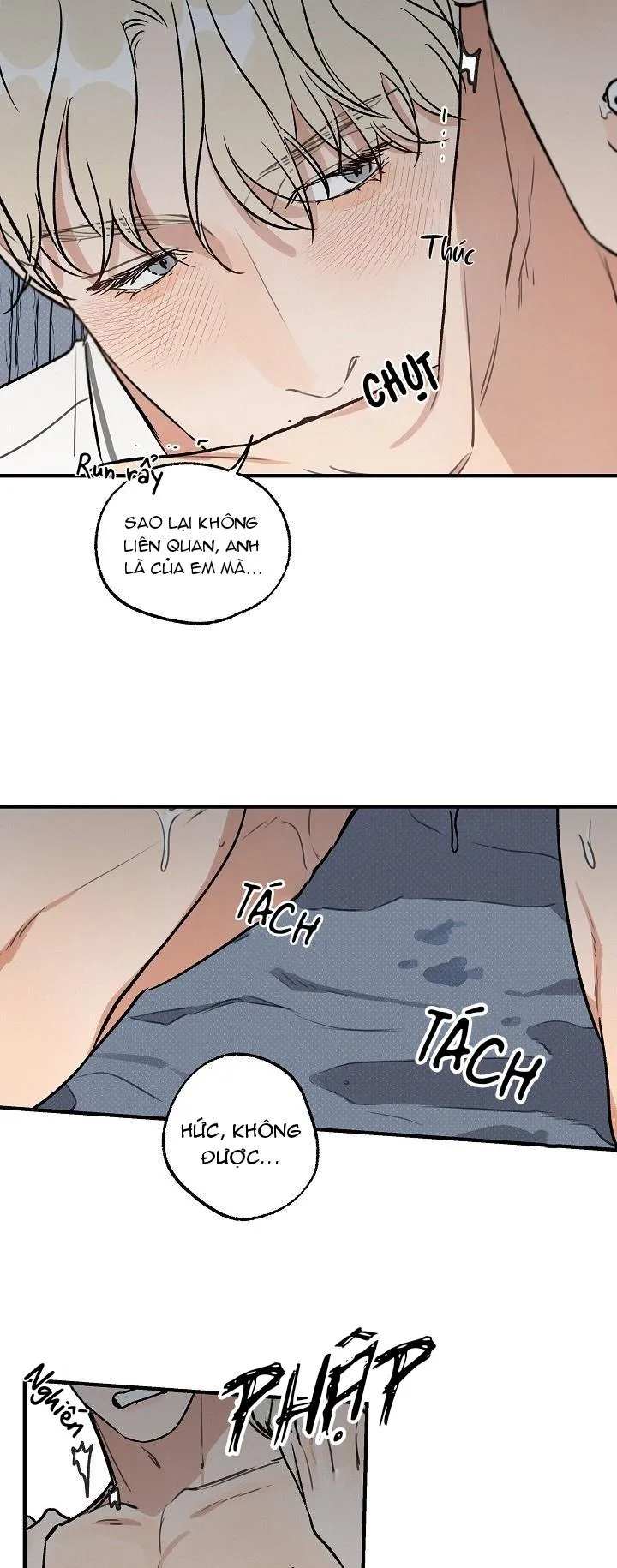 Manhwa Chịch Vồn Chịch Vã Chapter 71 Trang 17