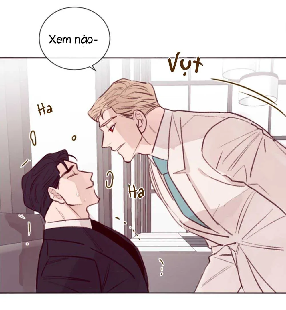 MARCEL Chapter 4 Trang 15