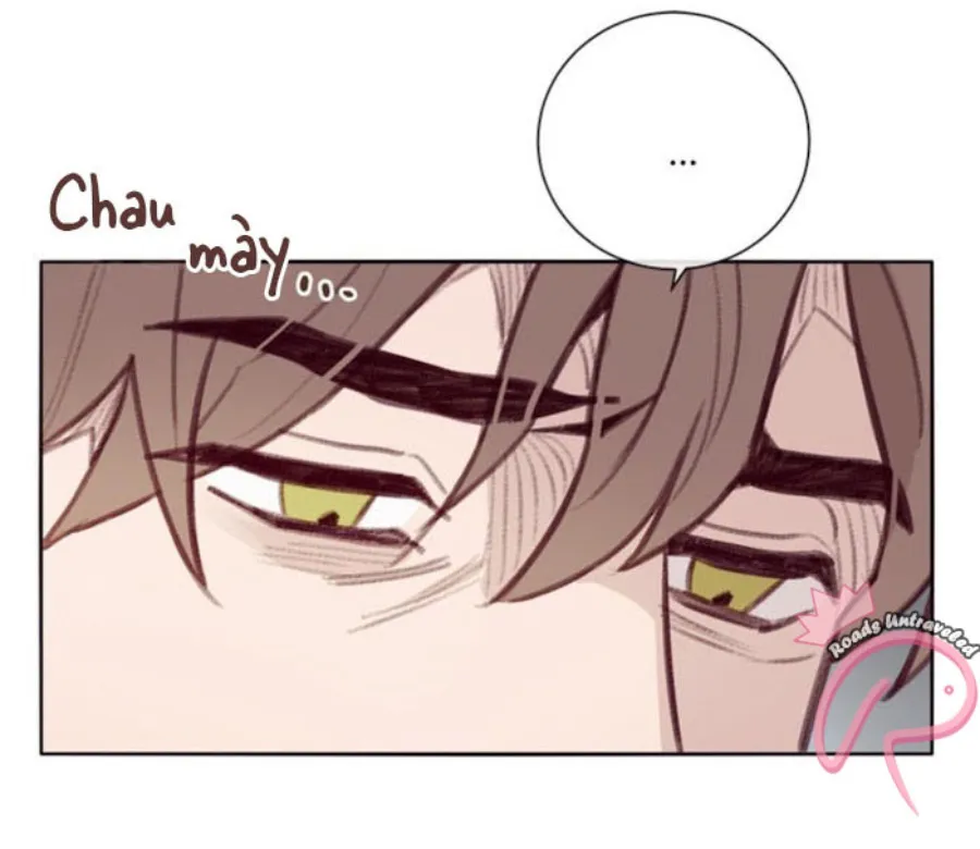 MARCEL Chapter 5 Trang 47